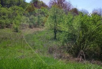 Teren de 800 mp, în Mediaș - 4