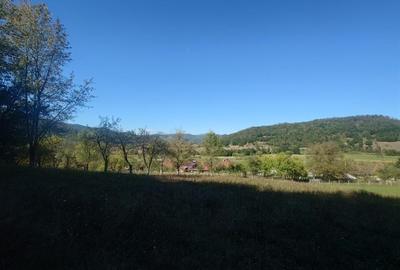 Teren intravilan de 56031 mp, în Crișcior - 3