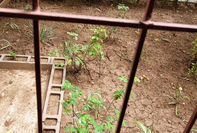 Garsonieră decomandată în Brâncoveanu - 2