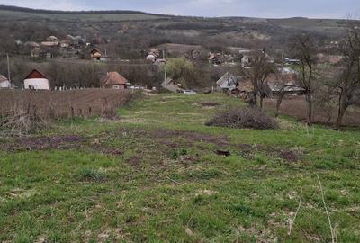 Teren de 1740 mp, în Central - 2