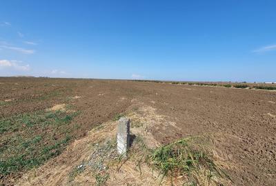 Teren agricol extravilan de 818 mp, în 23 August - 7