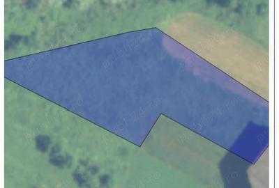 Teren de 15401 mp, în Lunca (Baia de Criș) - 4