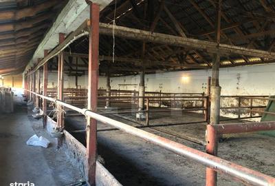 Spațiu comercial, de 2,000 mp, în Bod - 13