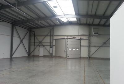 Spațiu comercial, de 853 mp, în Aradul Nou - 2