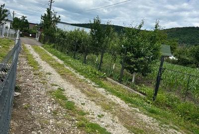 Teren de 2200 mp, în Pătrăuți - 2