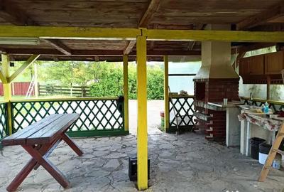 Casă cu 3 camere cu Teren 2000 Mp în Mitocu Dragomirnei - 5