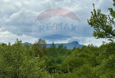 Teren agricol extravilan de 20876 mp, în Breb - 3