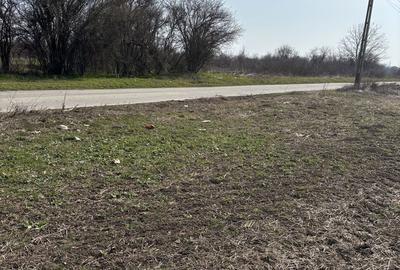 Teren de 2500 mp, în Grădiștea - 5