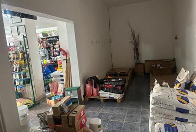 Spațiu comercial, de 105 mp, în Mioriței - 5