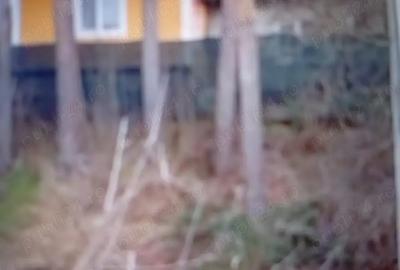 Imobiliare CASA TEREN - 3