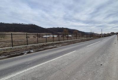 Teren de 17000 mp, în Ceuaș - 2