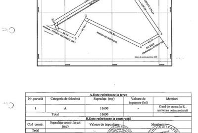 Teren intravilan in sens giratoriu DN7 11600mp com. Tartasesti, jud Dambovita - 3