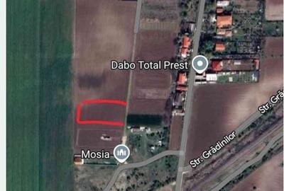 Spațiu comercial, în Căciulați