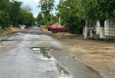 Teren intravilan de 8000 mp, în Adunații-Copăceni - 13