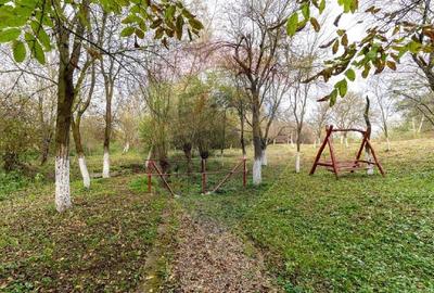 Casa / Vila de vanzare in Cristur jud.Hunedoara - 27