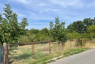 Teren de 2359 mp, în Valea lui Enache - 3