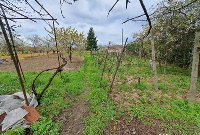 Casă cu 5 camere cu Teren 1700 Mp în Episcopia Bihorului - 5