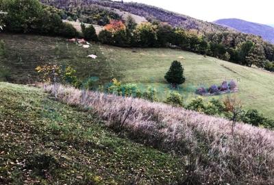 Teren agricol intravilan de 1400 mp, în Șuncuiuș - 10