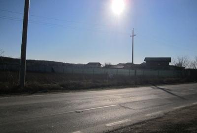 Teghes-Padurarului - 2