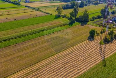 COMISION 0% Teren 3098 mp Brasov / Stupini - 10