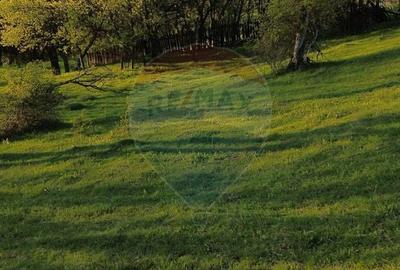 Teren de 15459 mp, în Bughea de Sus - 5