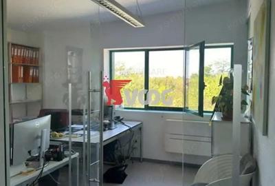 Proprietate Industriala 7000 mp hala in Calea Sagului Timisoara - 3