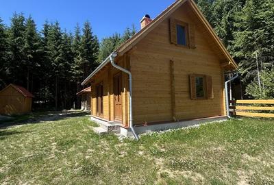 Casă cu Teren 5500 Mp în Sântimbru - 4