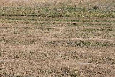 Spațiu comercial, în Boreal - 2