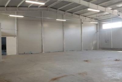 Spațiu comercial, de 520 mp, în Afumați - 7