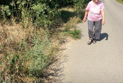 Teren Construcții intravilan de 2266 mp, în Țibănești - 1