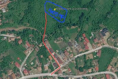 Spațiu comercial, în Jiblea Nouă - 1