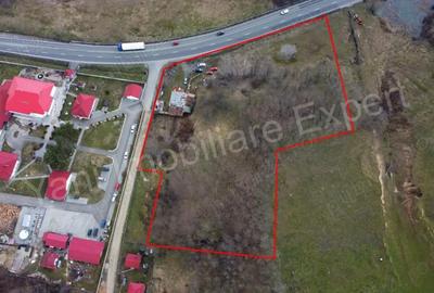 Teren de 10141 mp, în Dedulești - 1
