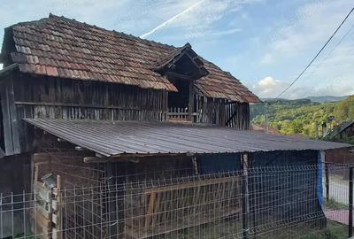 Vand casa la munte ! - 4