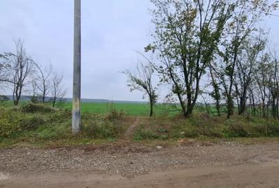 Teren de 3000 mp, în Brănești