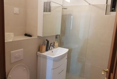 Apartament cu 2 camere semidecomandat în Centrul Istoric - 4