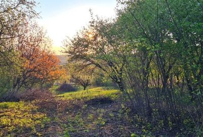 Spațiu comercial, în Valea Lupului - 7