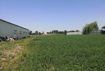 Spațiu comercial, de 454 mp, în Ungheni - 4