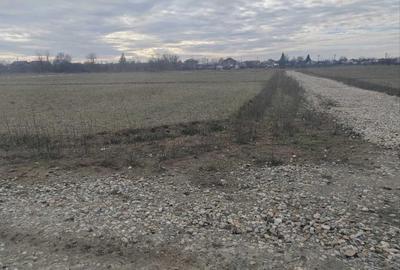 Spațiu comercial, în Vidra - 4