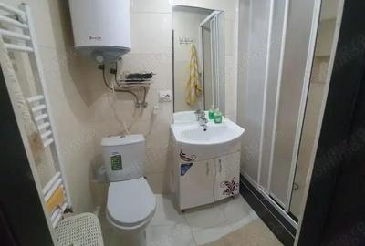 Garsoniera de inchiriat in zona Bucurestii Noi - 2