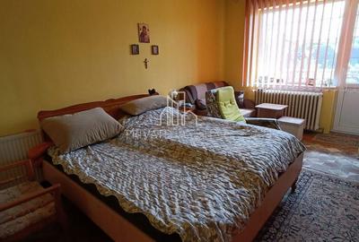 Casa de vanzare, 394 Mp total, Ana Ipatescu, nr. 68, Sighisoara - 5
