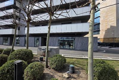 Spațiu comercial, de 154 mp, în Cotroceni - 1