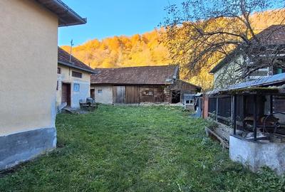 Casă cu 5 camere în Remeți - 2