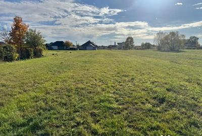 Teren de 20000 mp, în Bozânta Mare - 4