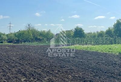 Casa individuala cu curte individuala si gradina - Zona Gai - 21