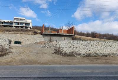 Teren de 700 mp, în Eșelnița - 1