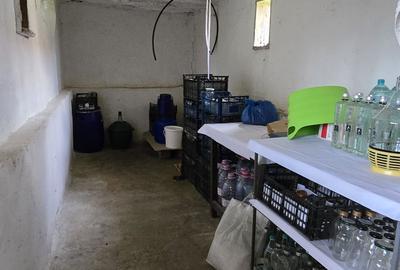 Casă cu 4 camere în Băneasa - 2