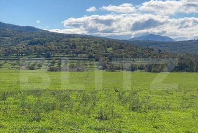 Teren intravilan Joseni Bargaului - 2