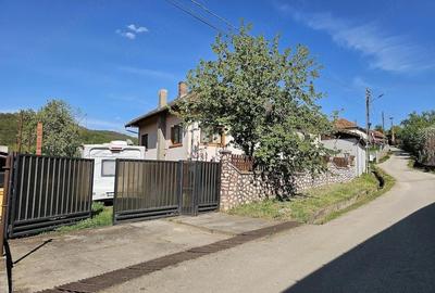 Casă cu 3 camere cu Teren 1060 Mp în Lunca (Băița) - 7