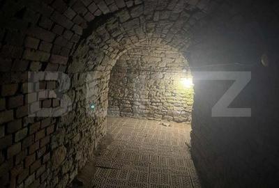 Casa 400 mp, teren 1300 mp, 3 niveluri, zona P-ta Chirila - 19