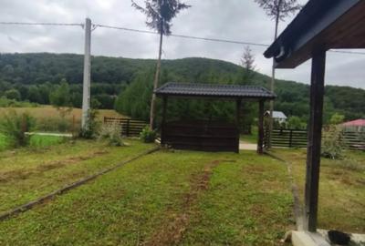 Casă cu 5 camere cu Teren 1250 Mp în Marginea - 7